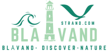 blavandstrand logo
