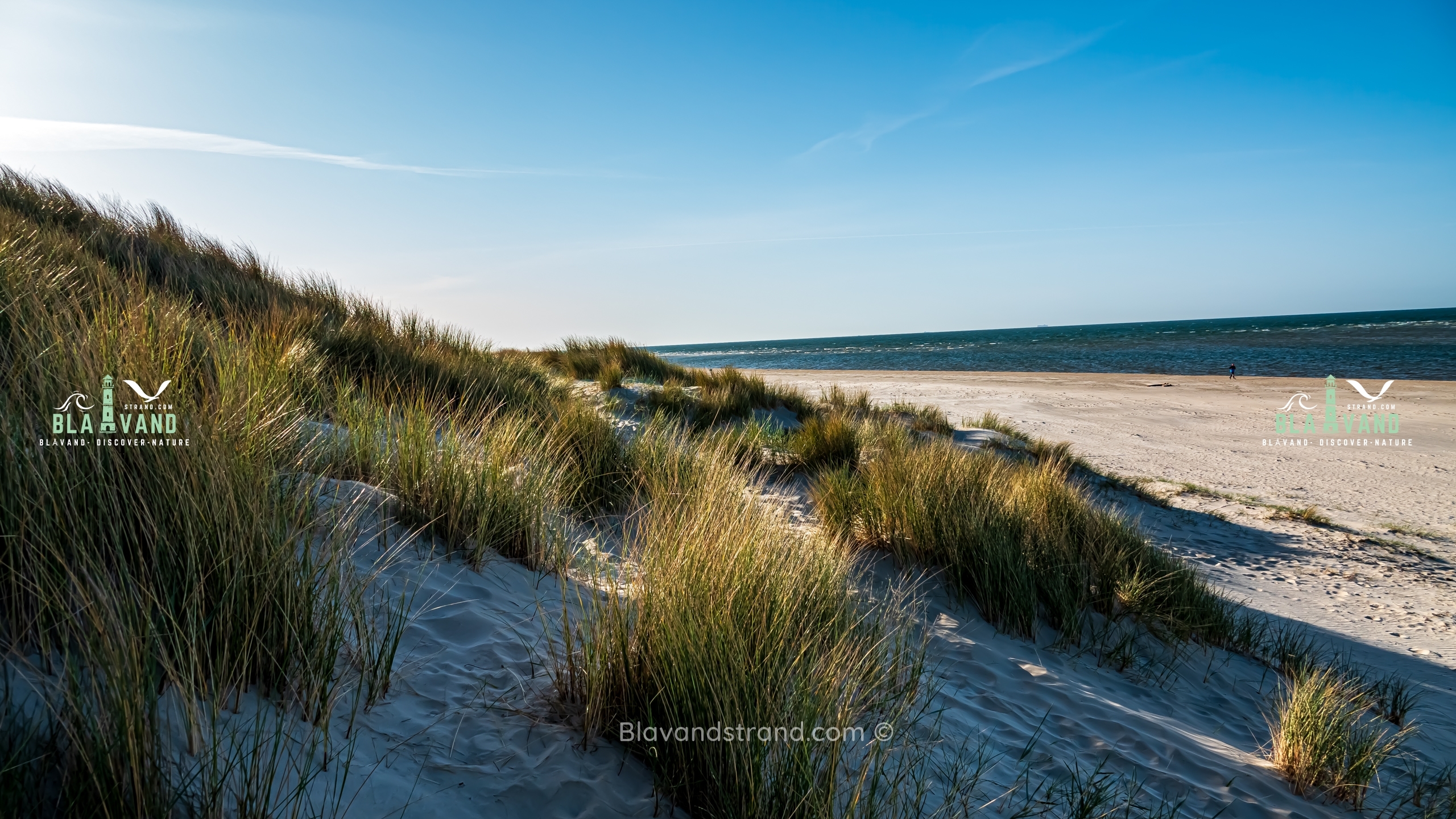 blavand strand