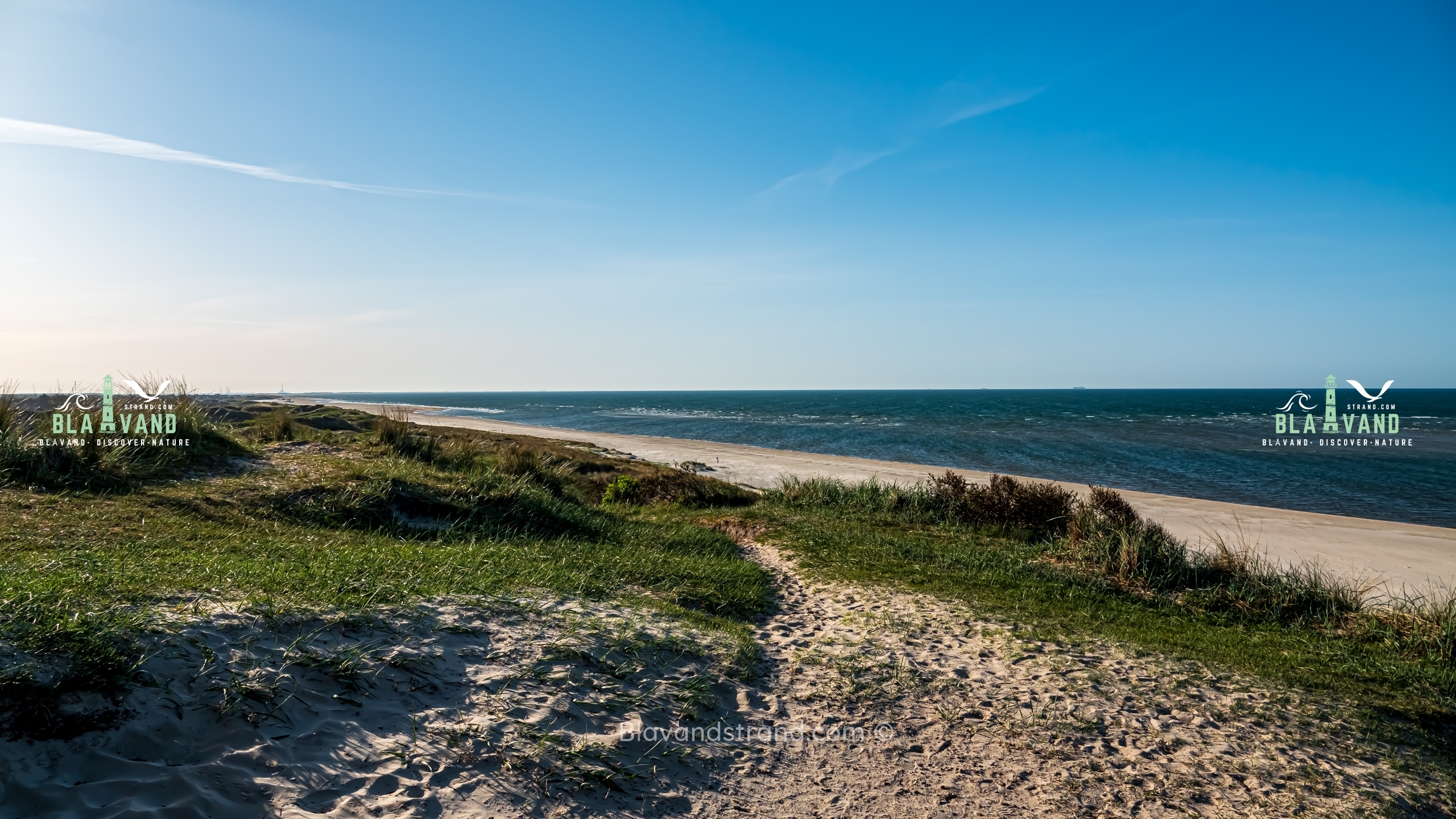 blavand strand dänemark