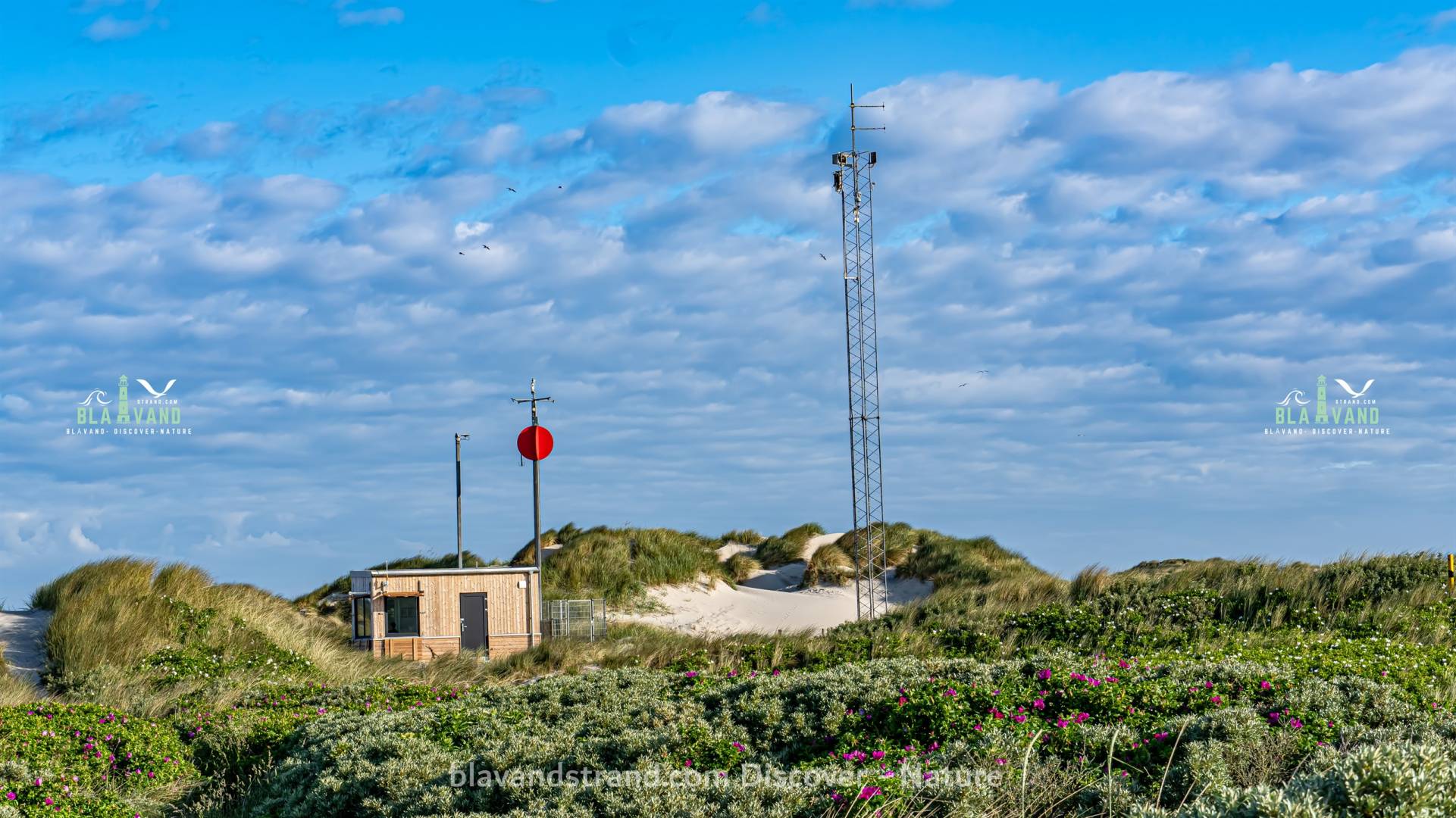 blavand strand bunker
