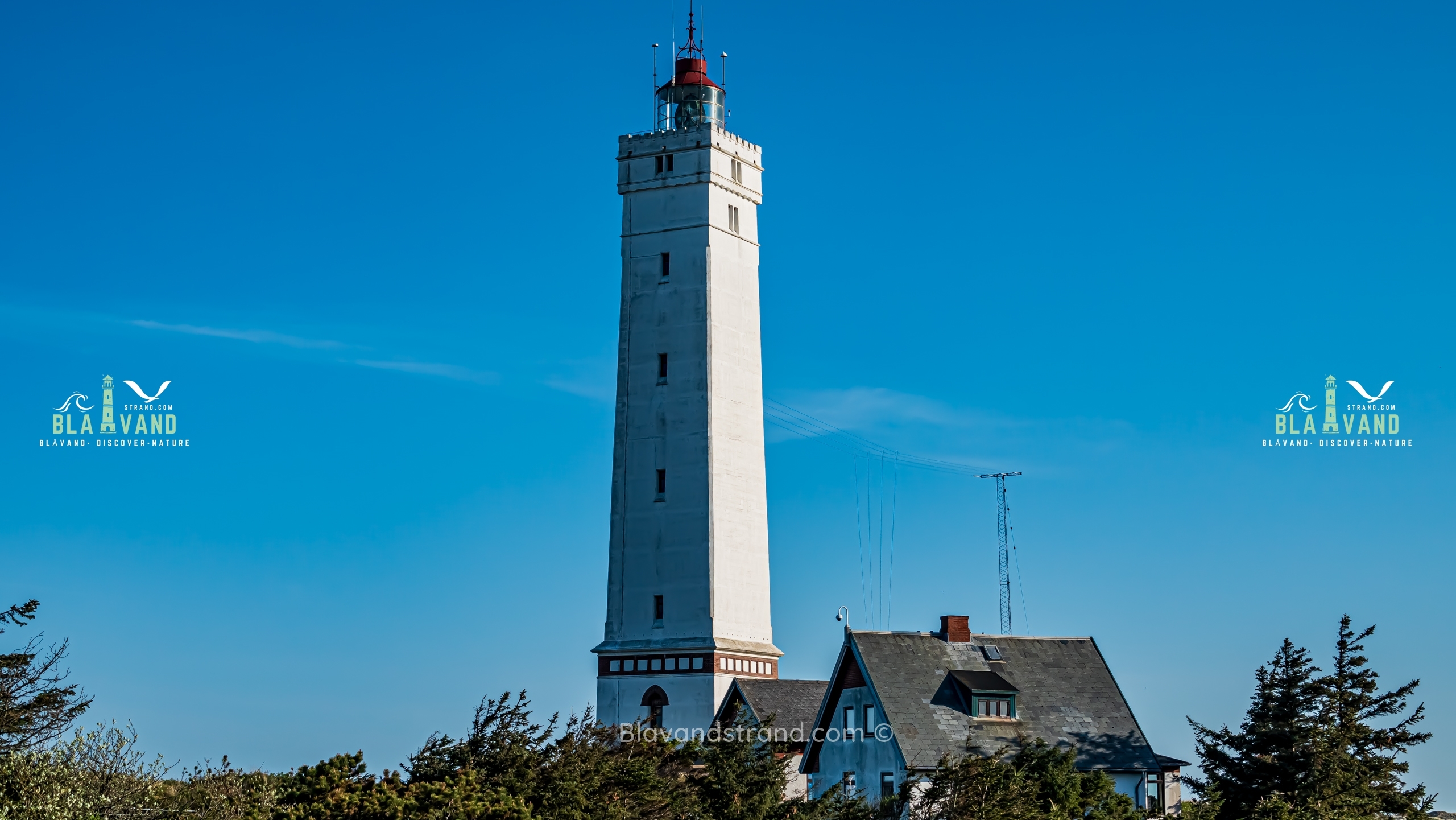 leuchtturm blavandstrand