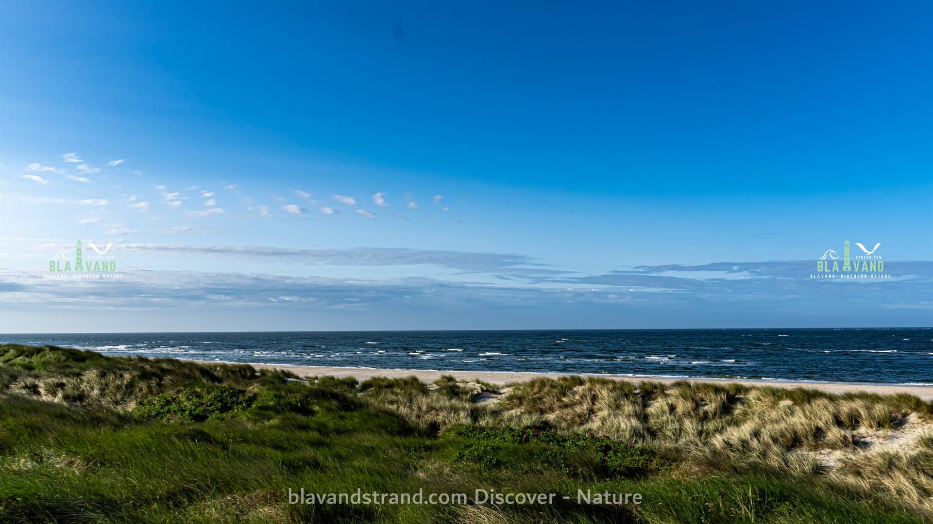 blavand strand dänemark