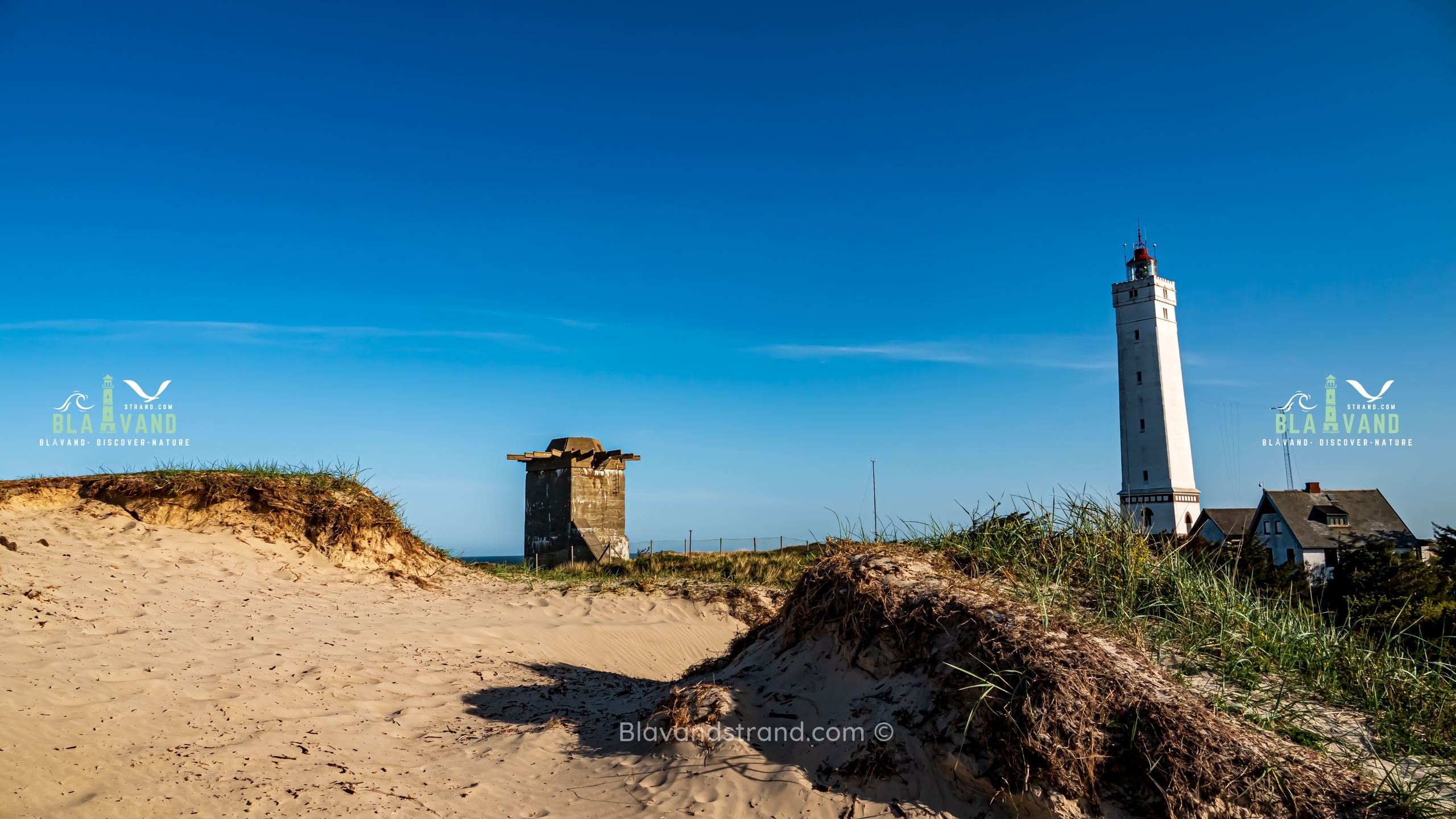 Blåvandshuk Fyr leuchtturm blavand