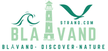 blavandstrand logo