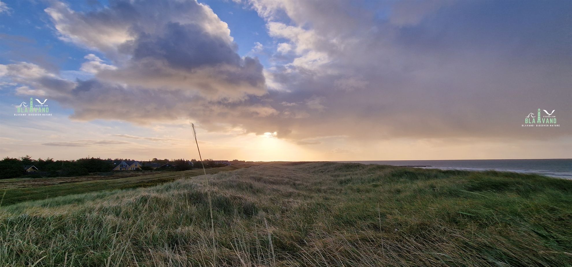 sonnenuntergang blavand dänemark