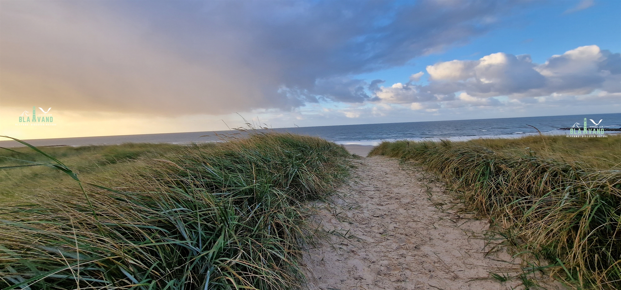 sonnenuntergang blavand dänemark