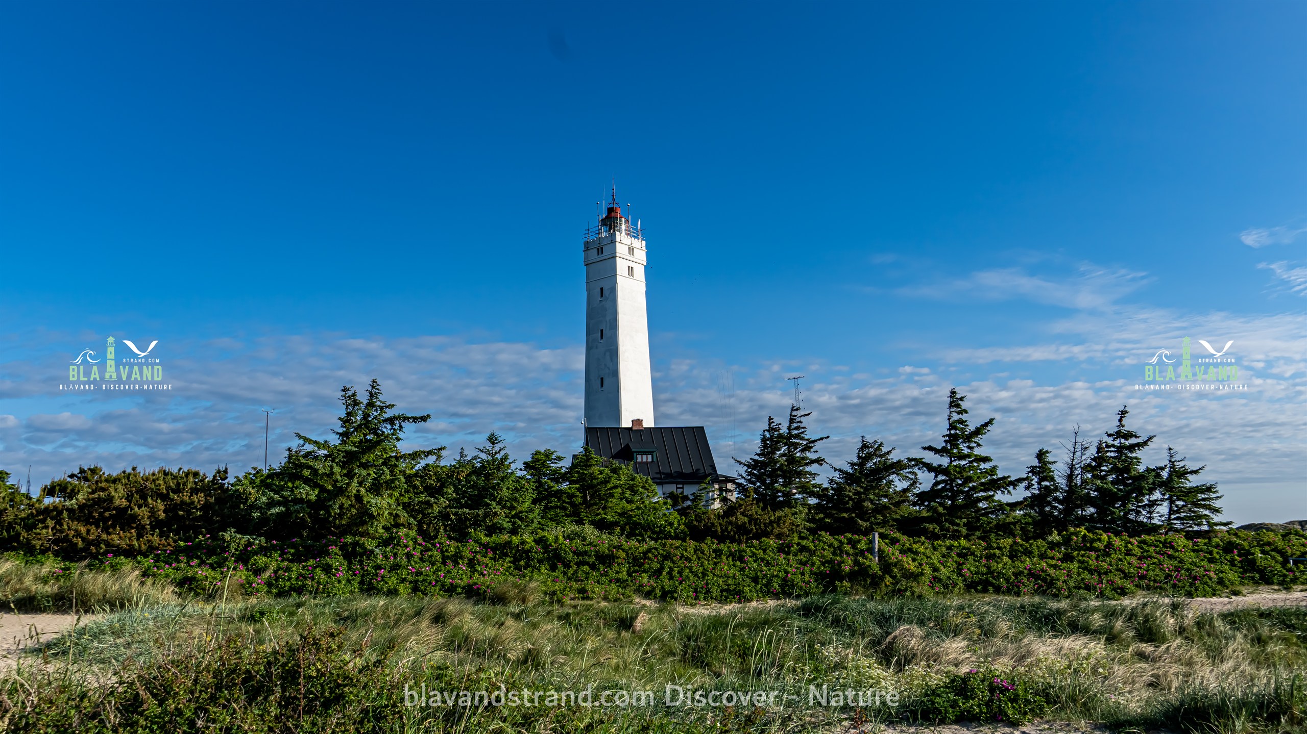 blavand tourist information
