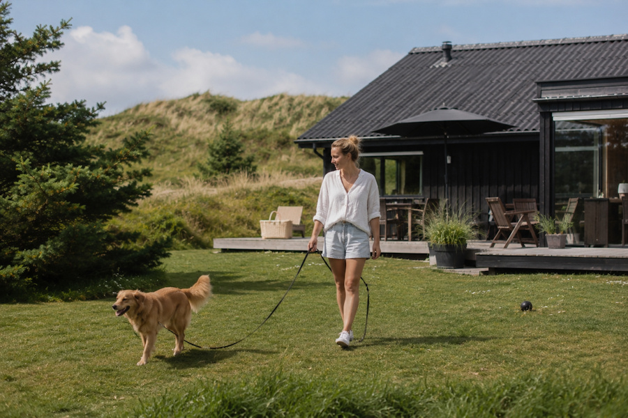 leinenpflicht dänemark am ferienhaus