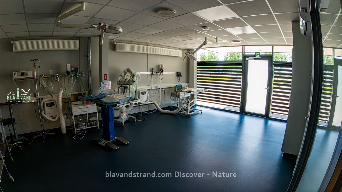 anicura varde dyrehospital diagnostik dänemark