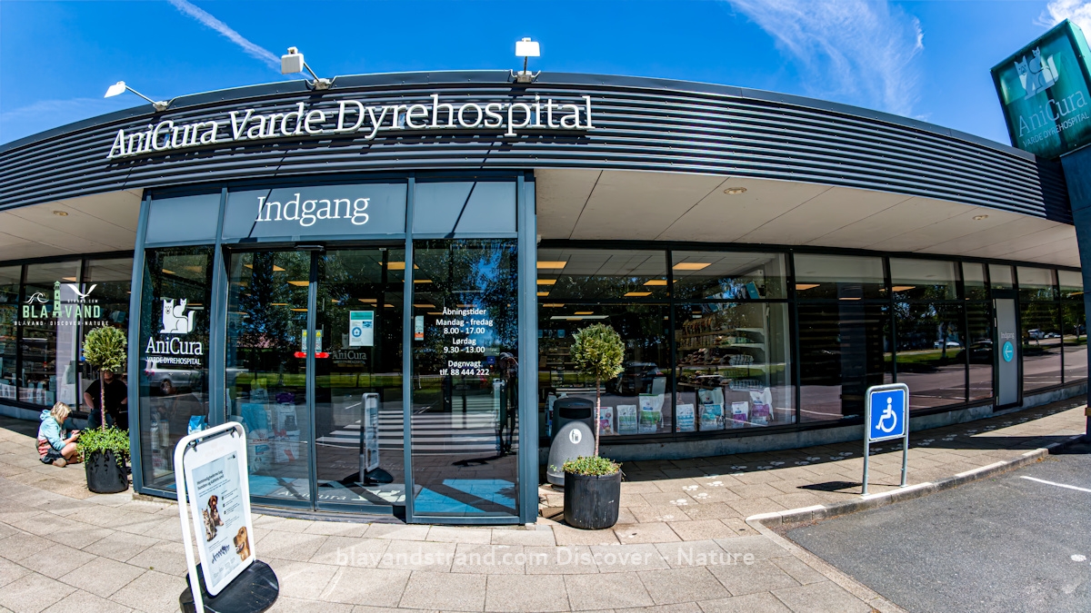 anucura varde dyrehospital