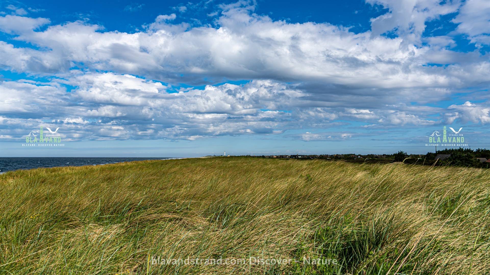 blavand strand