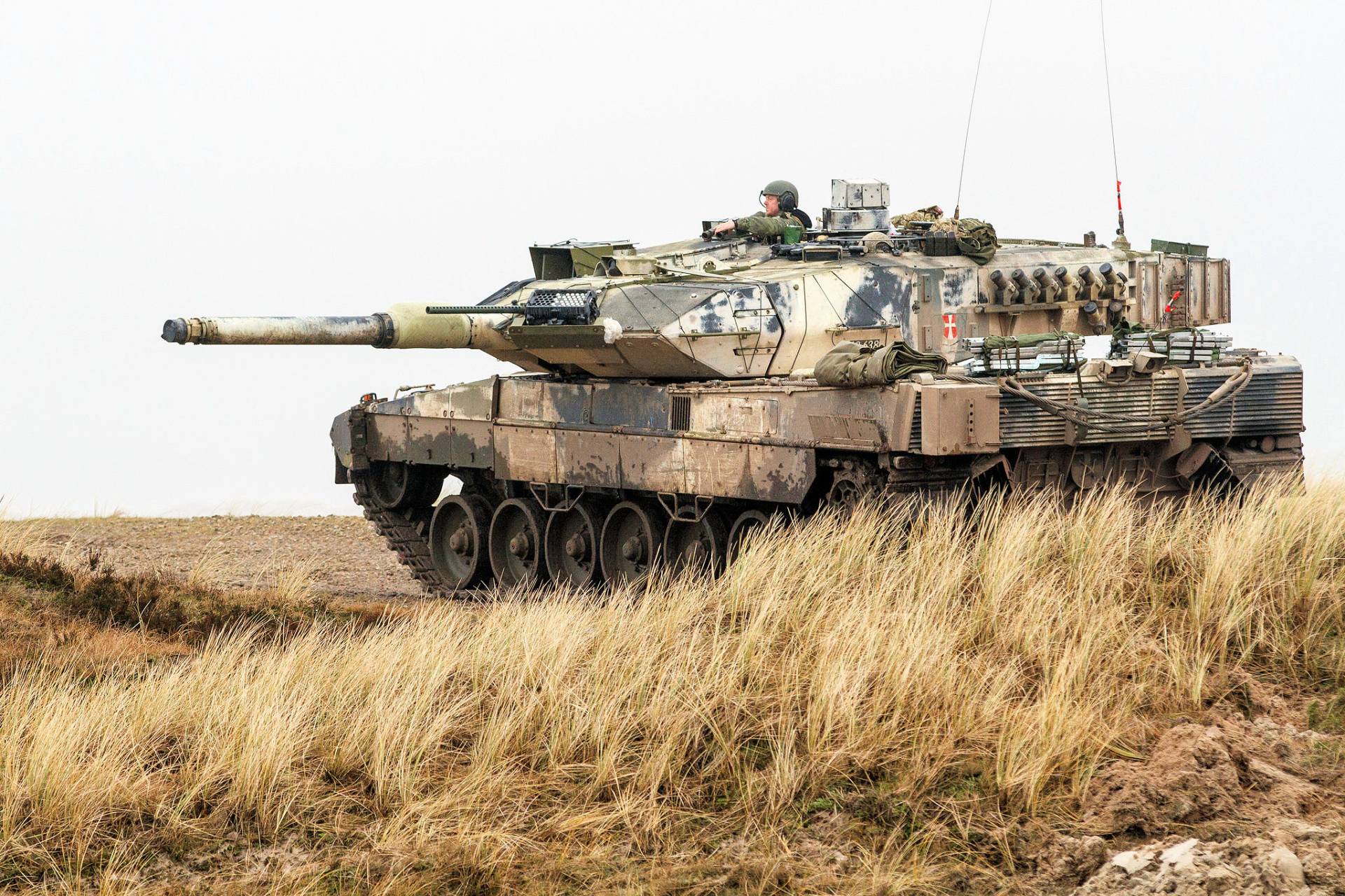 blavand panzer