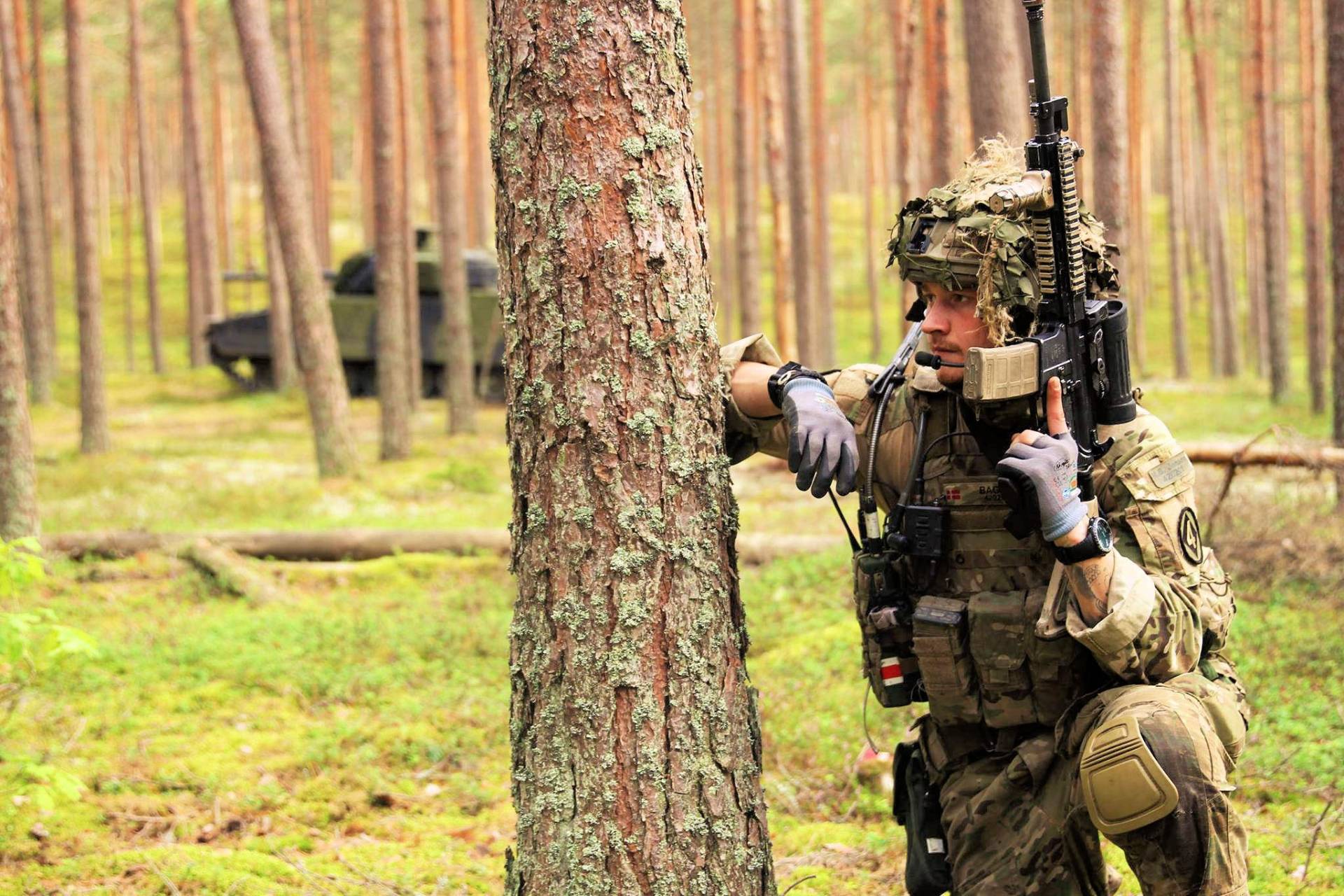 blavand militär army