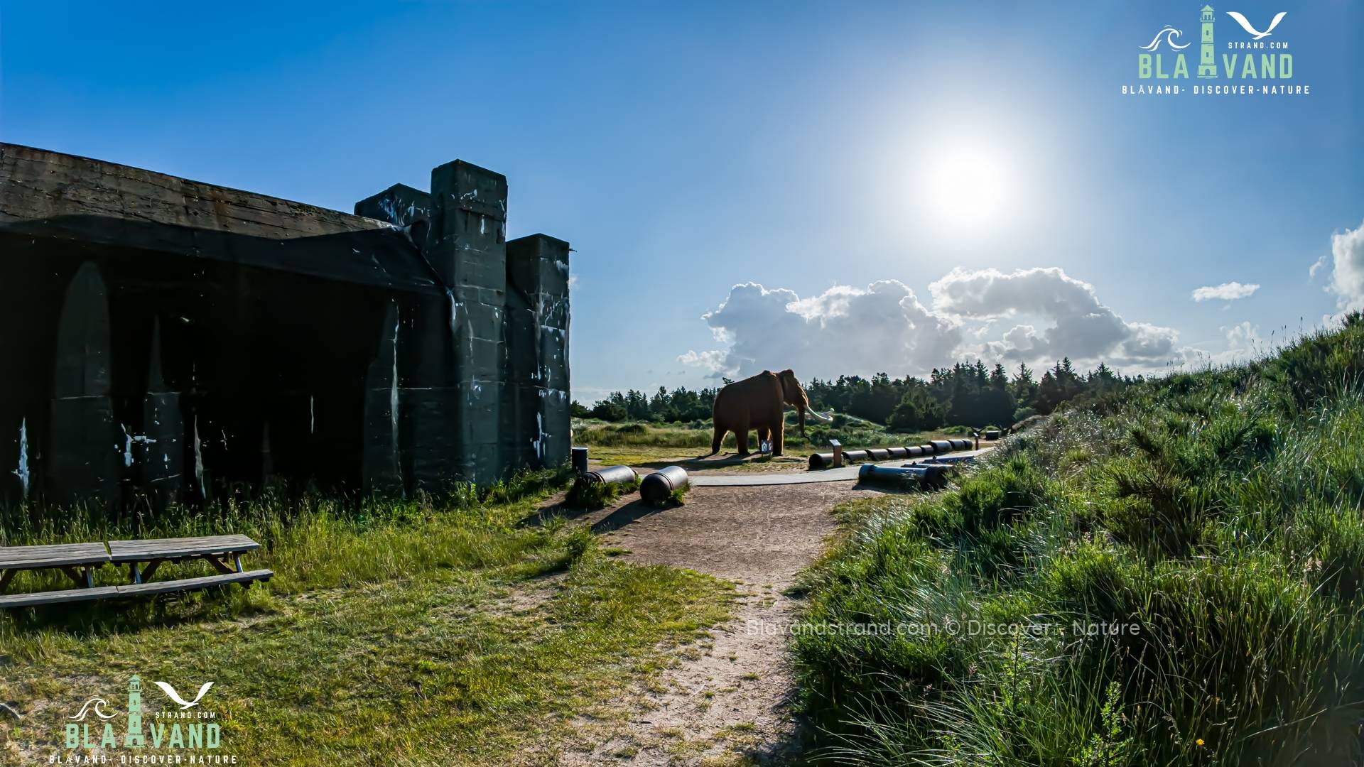 tirpitz stellung bunker blavand